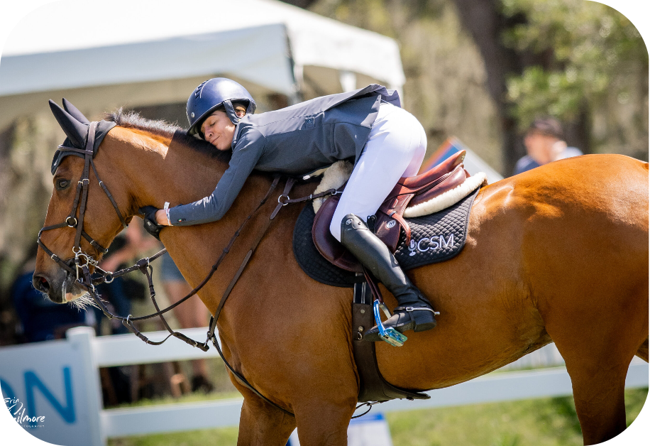Equestrian rider with horse